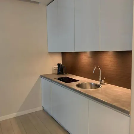 Lumina I Deluxe 2-room With Parking I Ac I Balcony I Platinum Towers Varsóvia